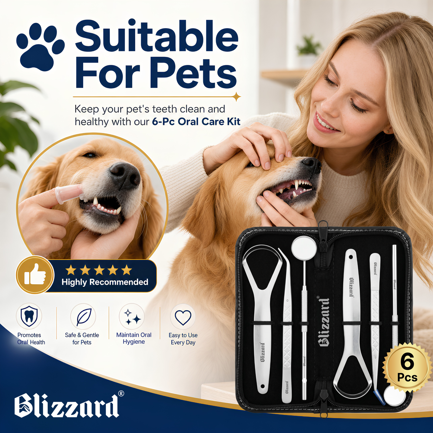 Blizzard 6-Pcs Dental Hygiene Kit | Stainless Steel Oral Care Set